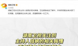 娱乐圈吃瓜用语是什么,揭秘明星幕后故事
