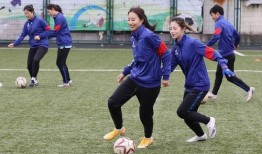 加拿大足球爆料最新消息,转会风云再起，豪门争抢新星！